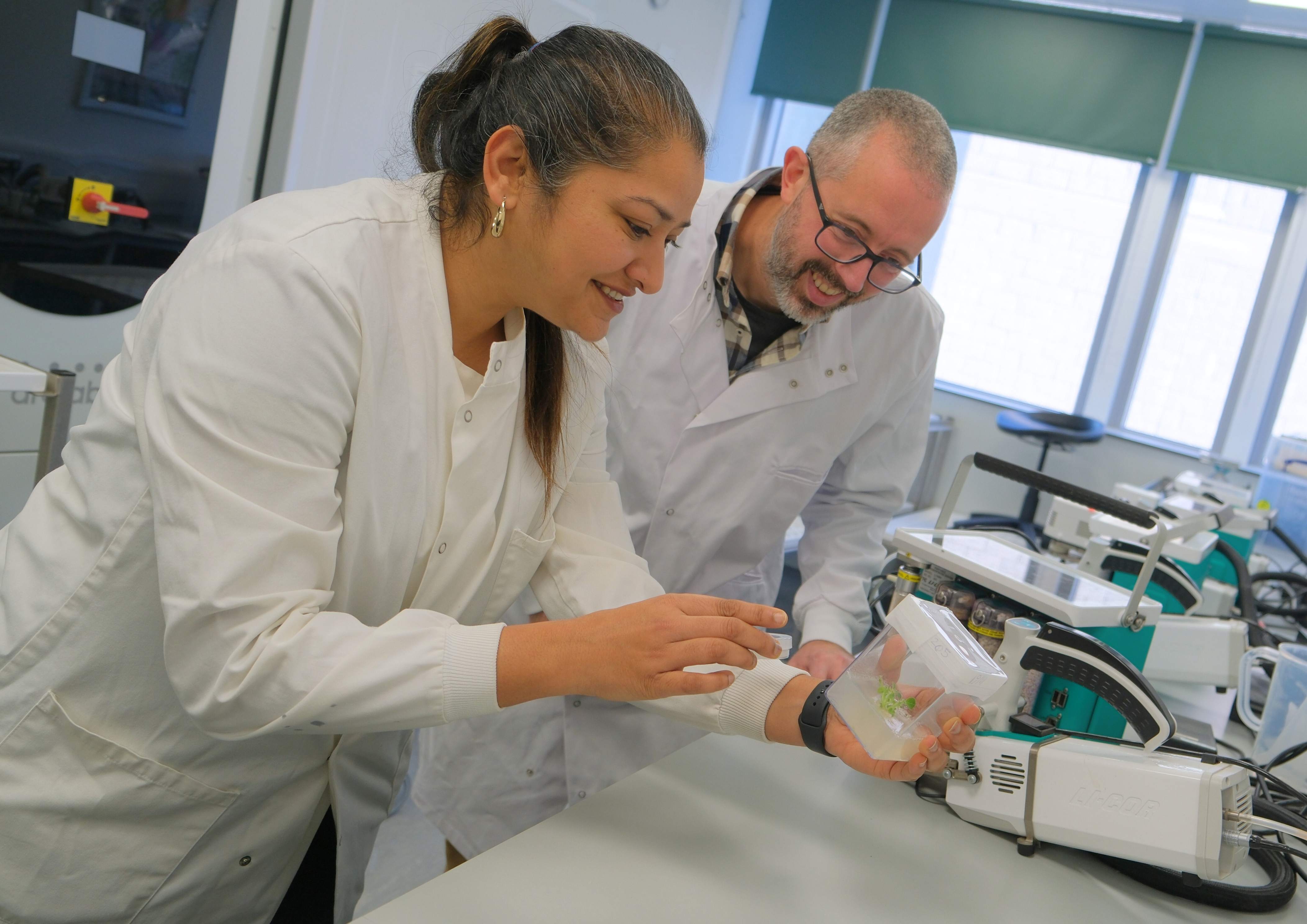 Dr Pallavi Singh and Dr Nick Aldred in the lab as they research whether mistletoe could be used as a surgical glue. (University of Essex/ PA)