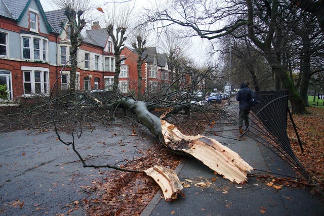 Part of a fallen tree which hit a car on Greenbank Road in Liverpool (Peter Byrne/PA)