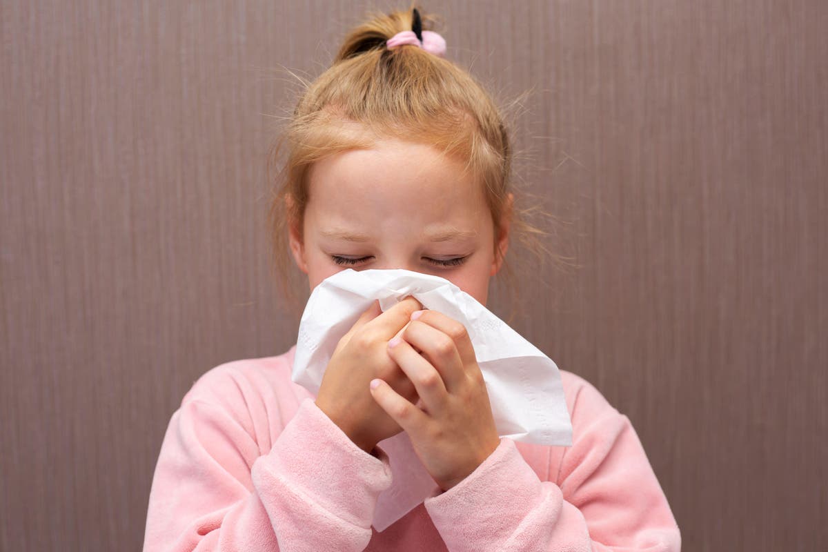 A doctor’s guide to stopping your children catching flu this Christmas 
