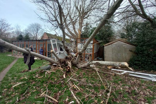 A fallen tree destroyed the cat pen (Avon Cat Rescue/PA)