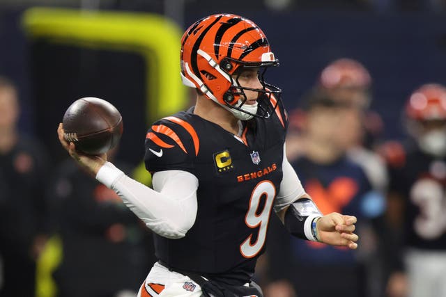 Cincinnati Bengals quarterback Joe Burrow (Gareth Patterson/AP)