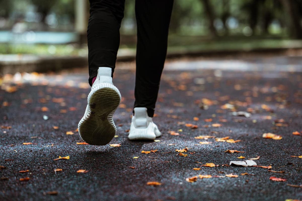 Daily walking or cycling can boost brain for next day, study finds