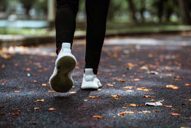 <p>Person walking</p>