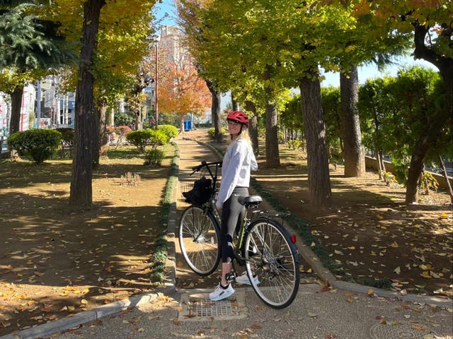 <p>Late autumn and early winter bring striking colours to Tokyo</p>