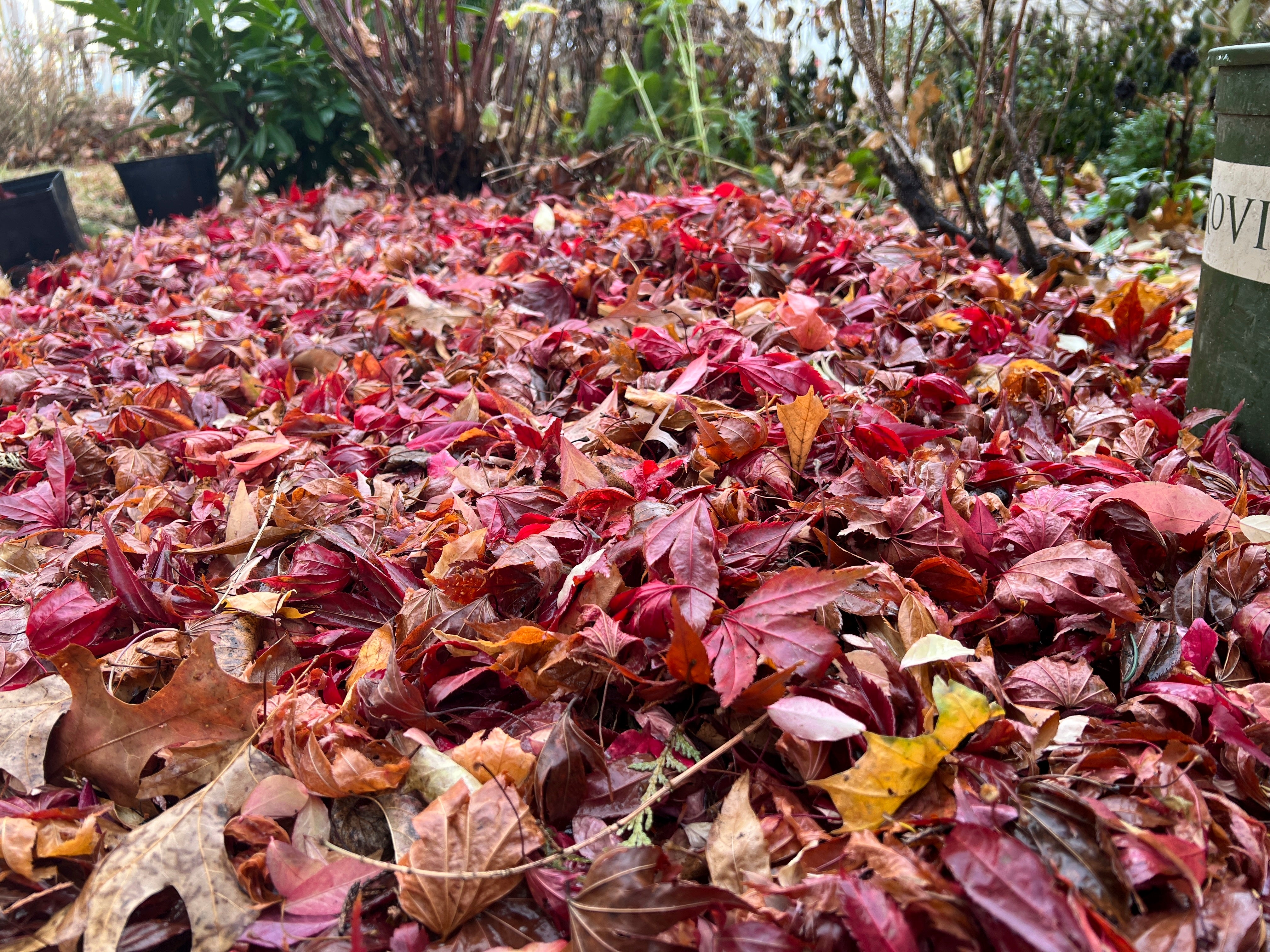 Gardening-Winter Chores