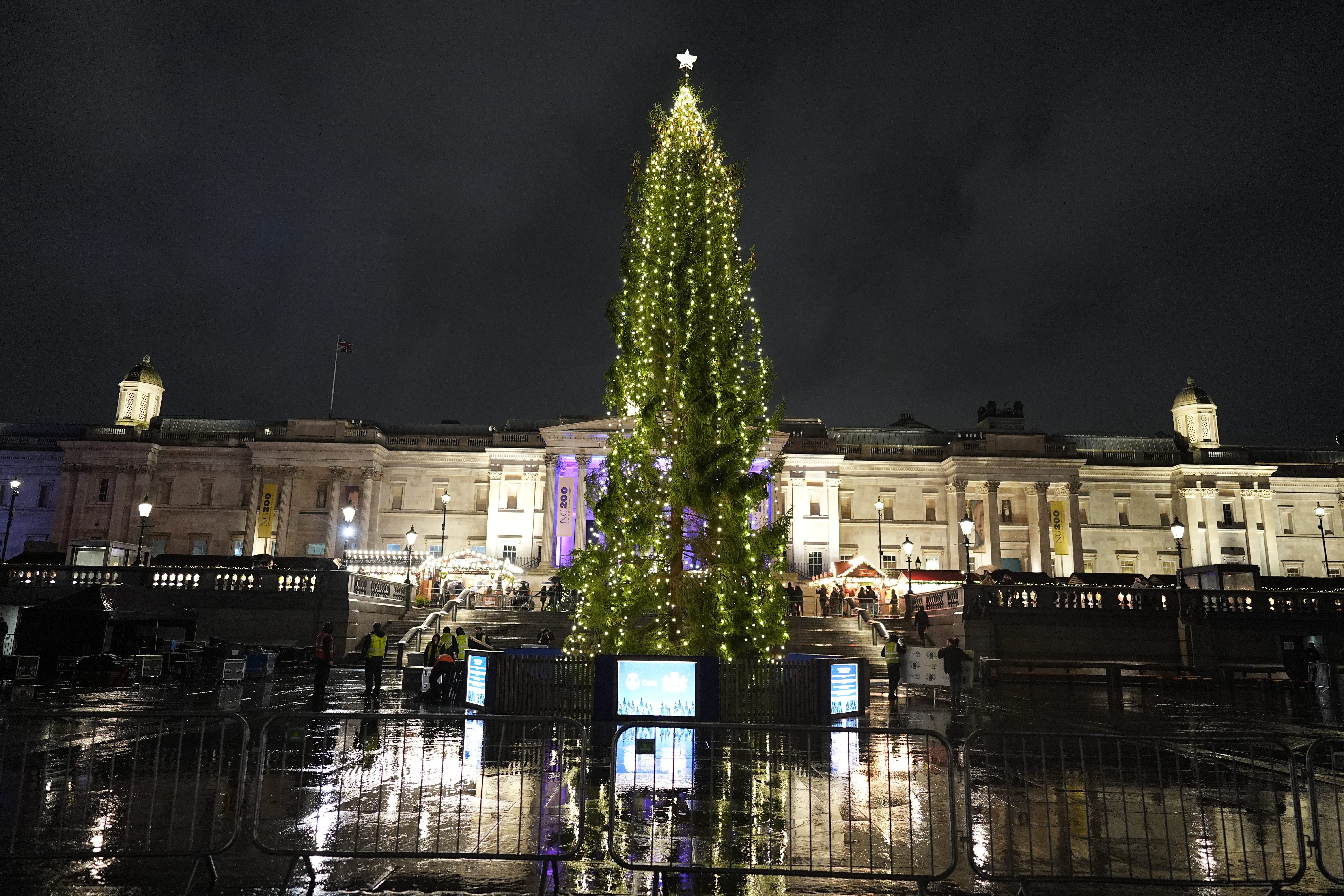 The illuminated Christmas Tree in Trafalgar Square, London. in 2024. (Aaron Chown/PA)