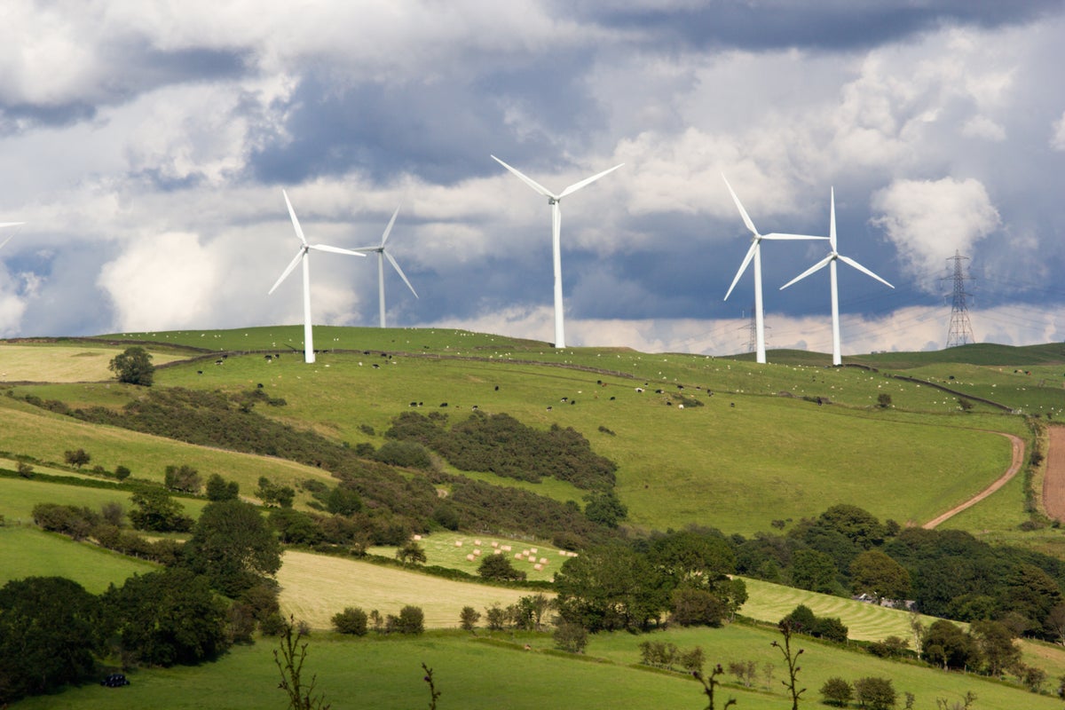 UK homeowners to be allowed wind turbines in gardens amid energy crisis