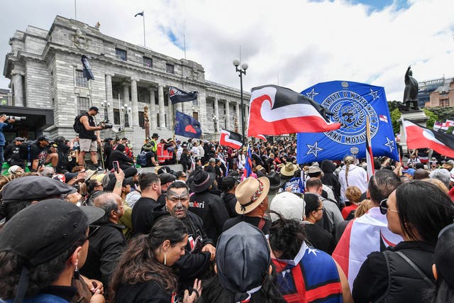 <p>Members of the Maori community and their supporters take part in protest outside parliament in Wellington on 19 November 2024</p>