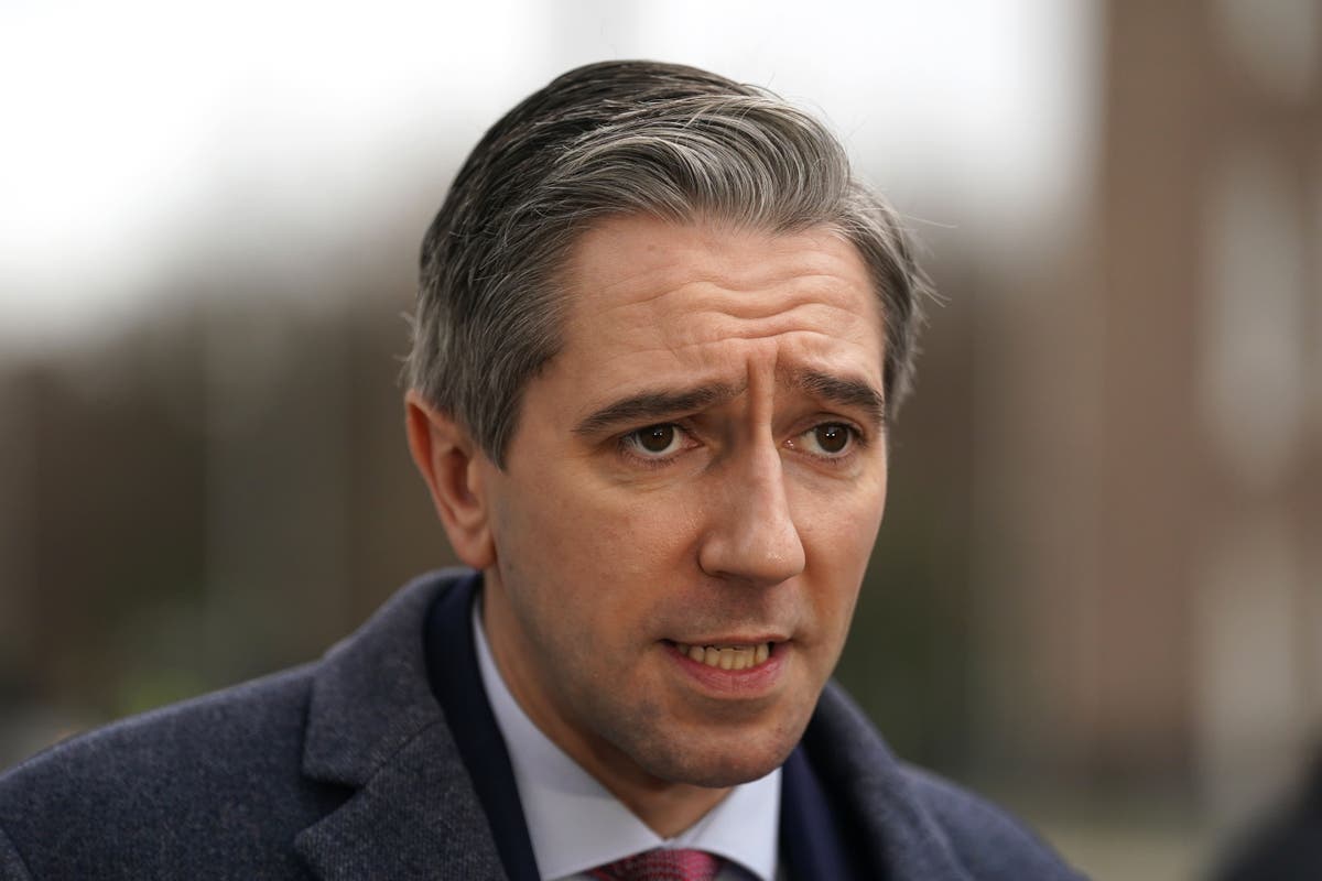 Irish Government Formation Talks Intensify Ahead of January