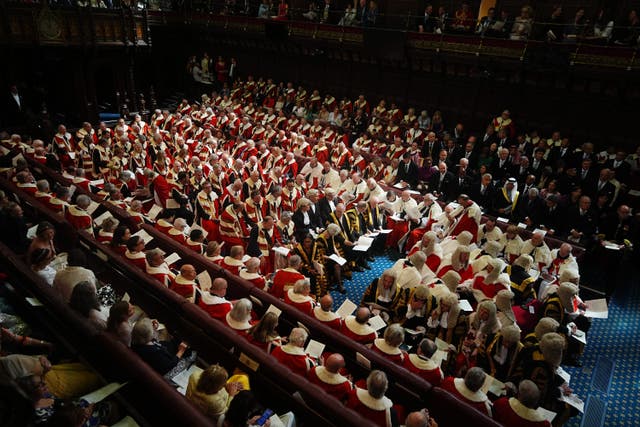 Members of the House of Lords ahead of the State Opening of Parliament in July (Aaron Chown/PA)