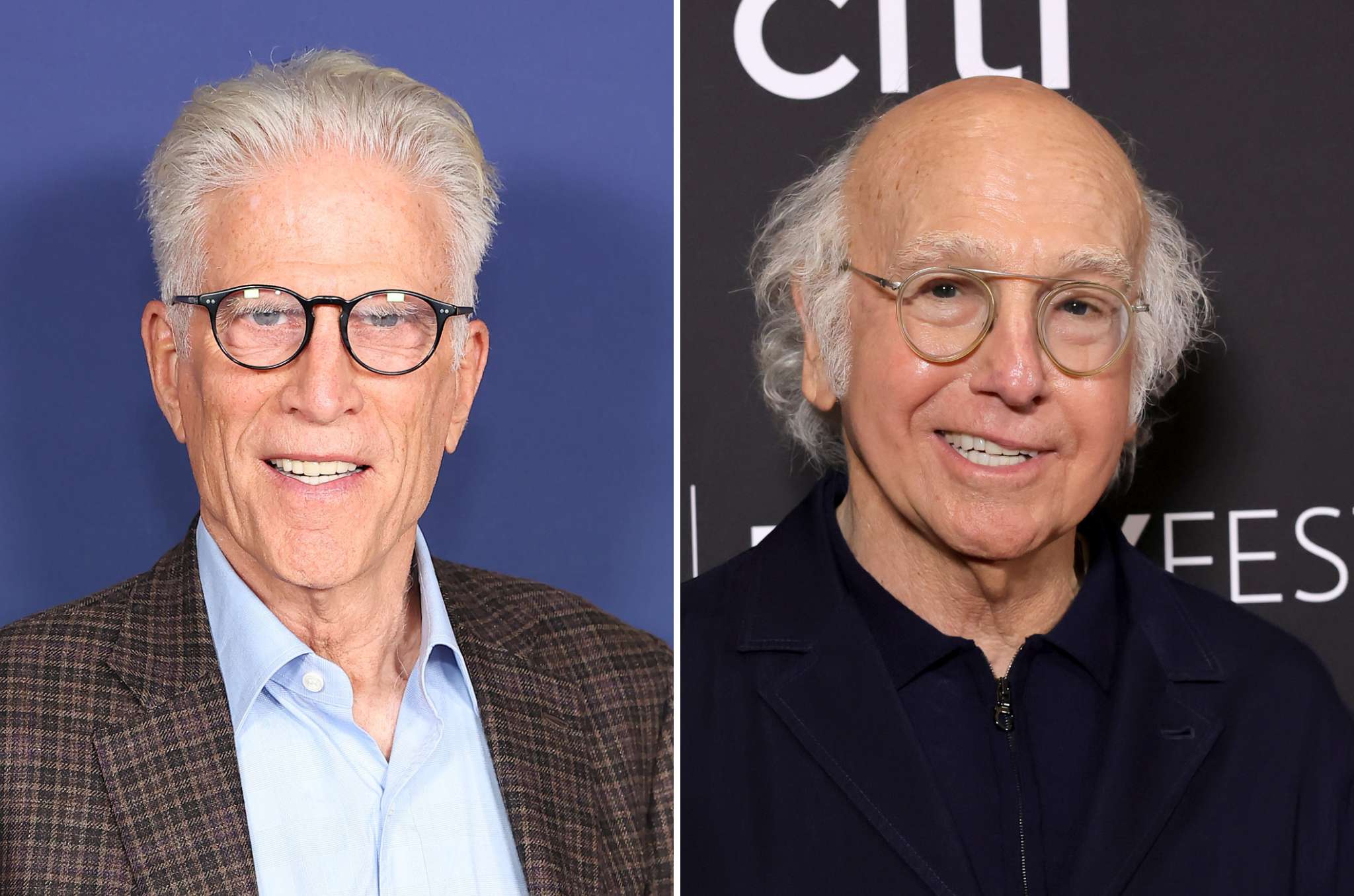 Ted Danson says he offered to star in ‘Curb’ as a way of ‘encouraging’ Larry David