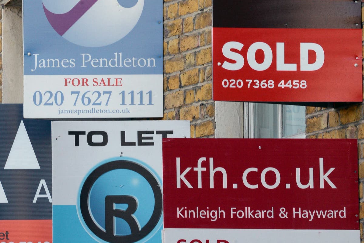 House price growth gaining momentum, surveyors report