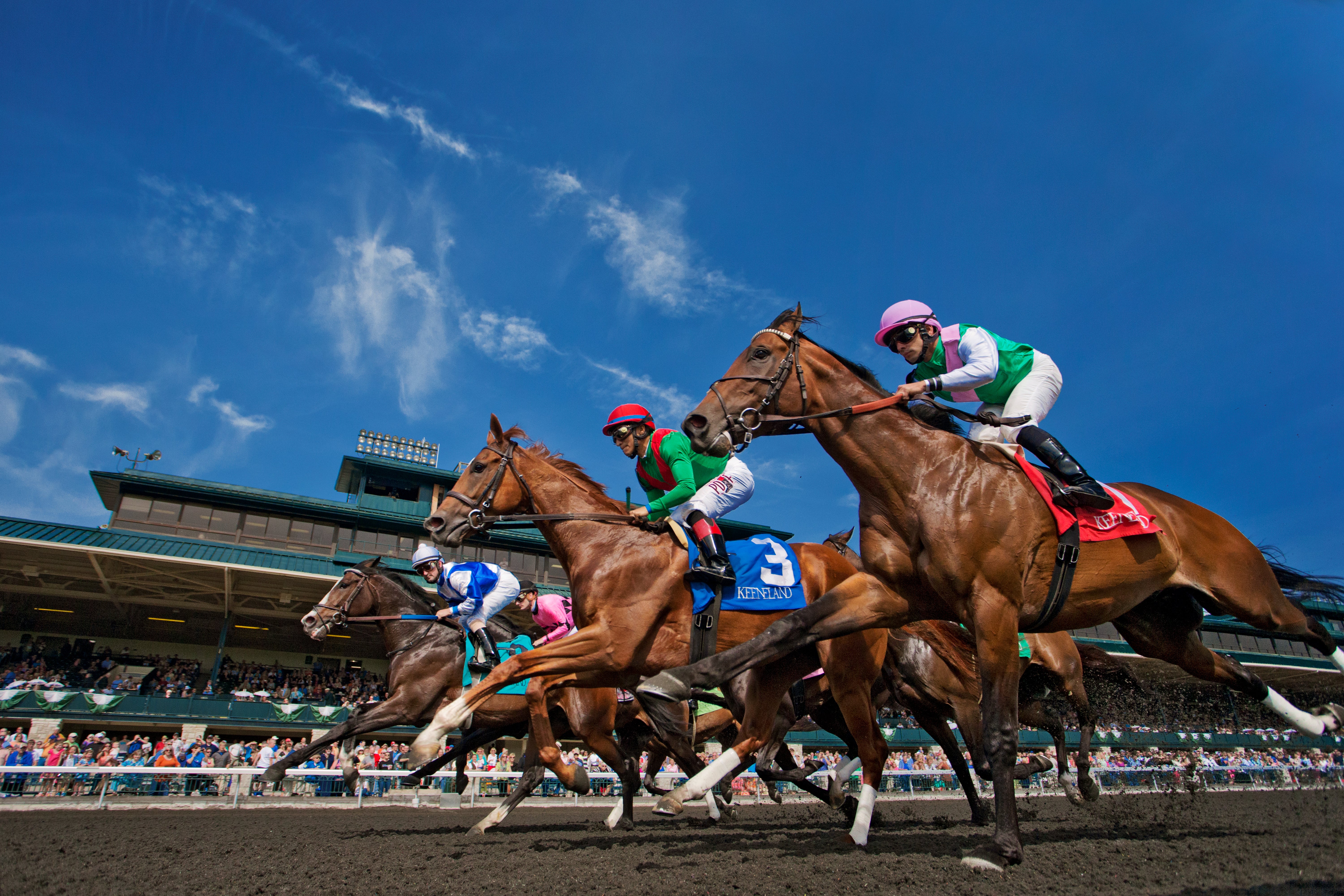 Take a trip to Keeneland where you can watch world-class thoroughbreds gallop around the course