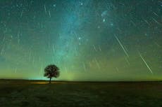 Geminid meteor shower offers rare chance to see green shooting stars