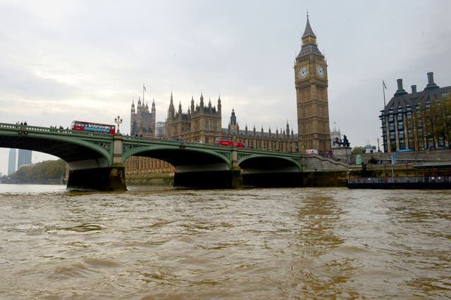 Baroness Meyer is facing a three-week suspension from the Lords (PA)