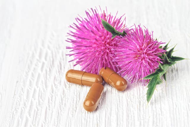 <p>Milk thistle helps repair and regenerate liver cells that have been harmed by all those boozy nights </p>