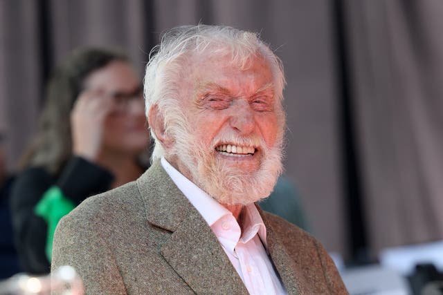 <p>Van Dyke announced while evacuating for the Malibu wildfires that he couldn’t find his cat </p>