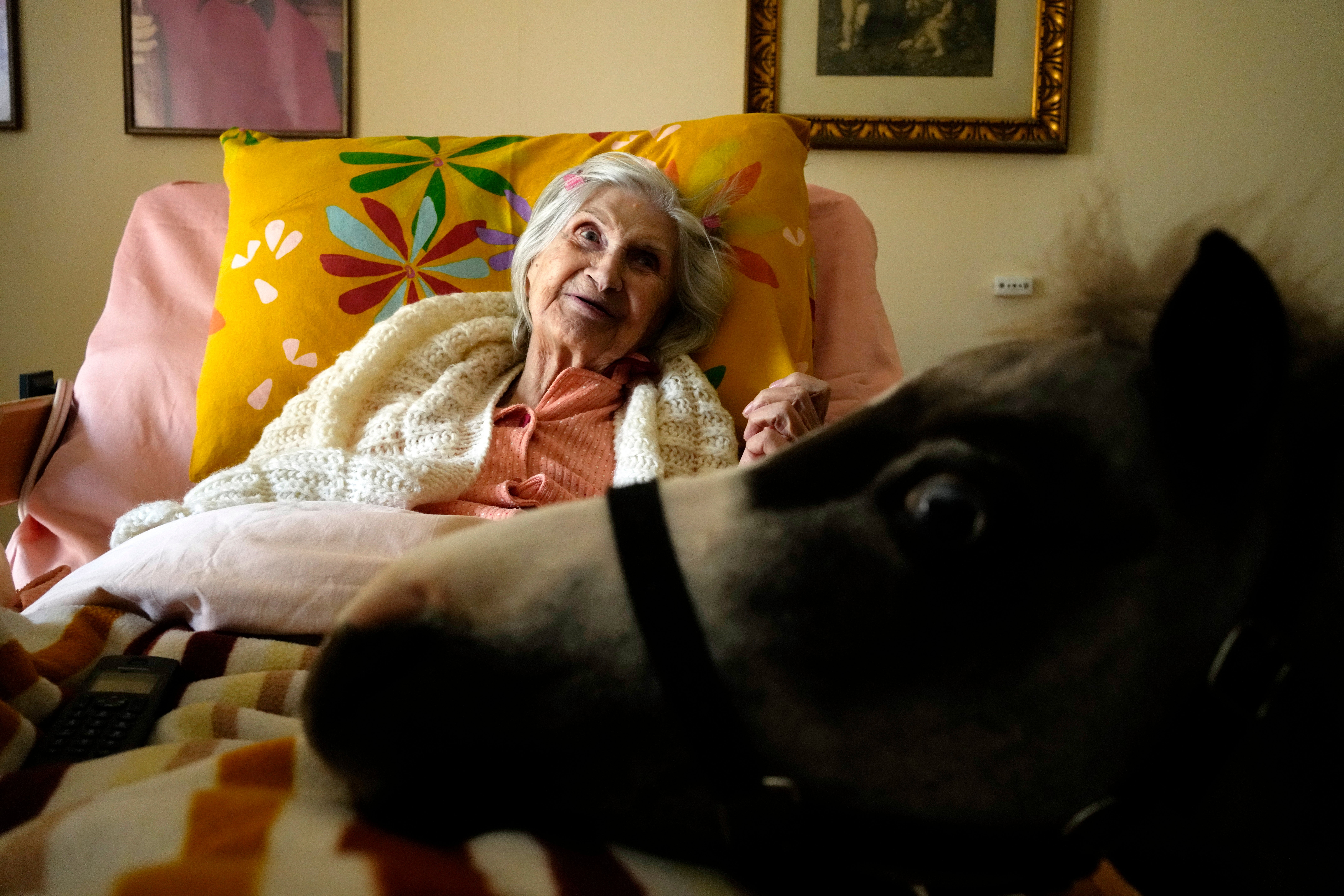 Greece Miniature Horse Therapy