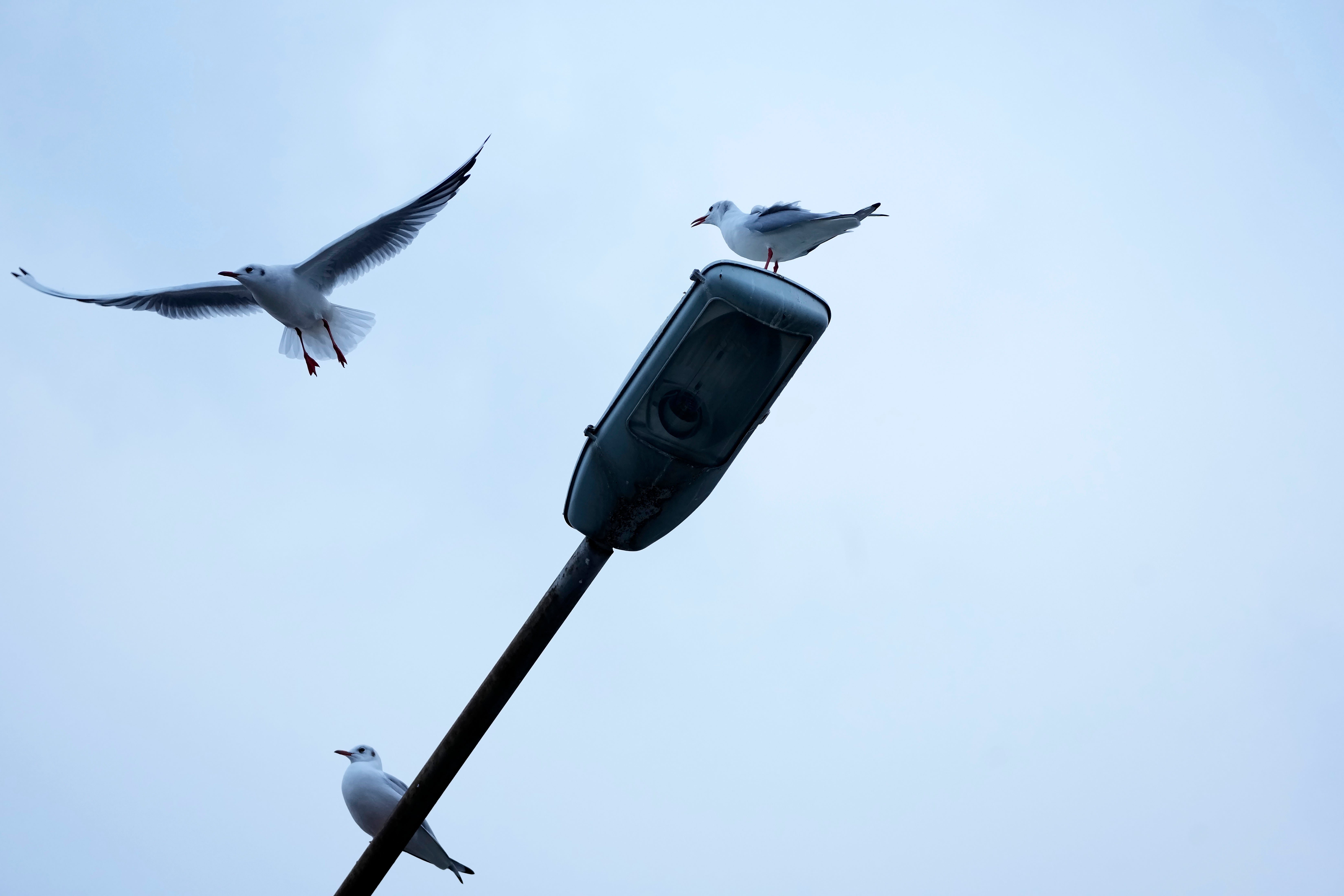 Iran Blackouts and Bitcoins