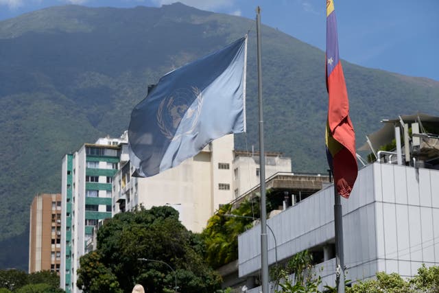 VENEZUELA ONU OFICINA