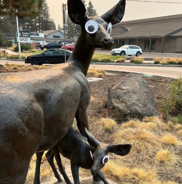 Oregon-Googly Eyes-Sculptures