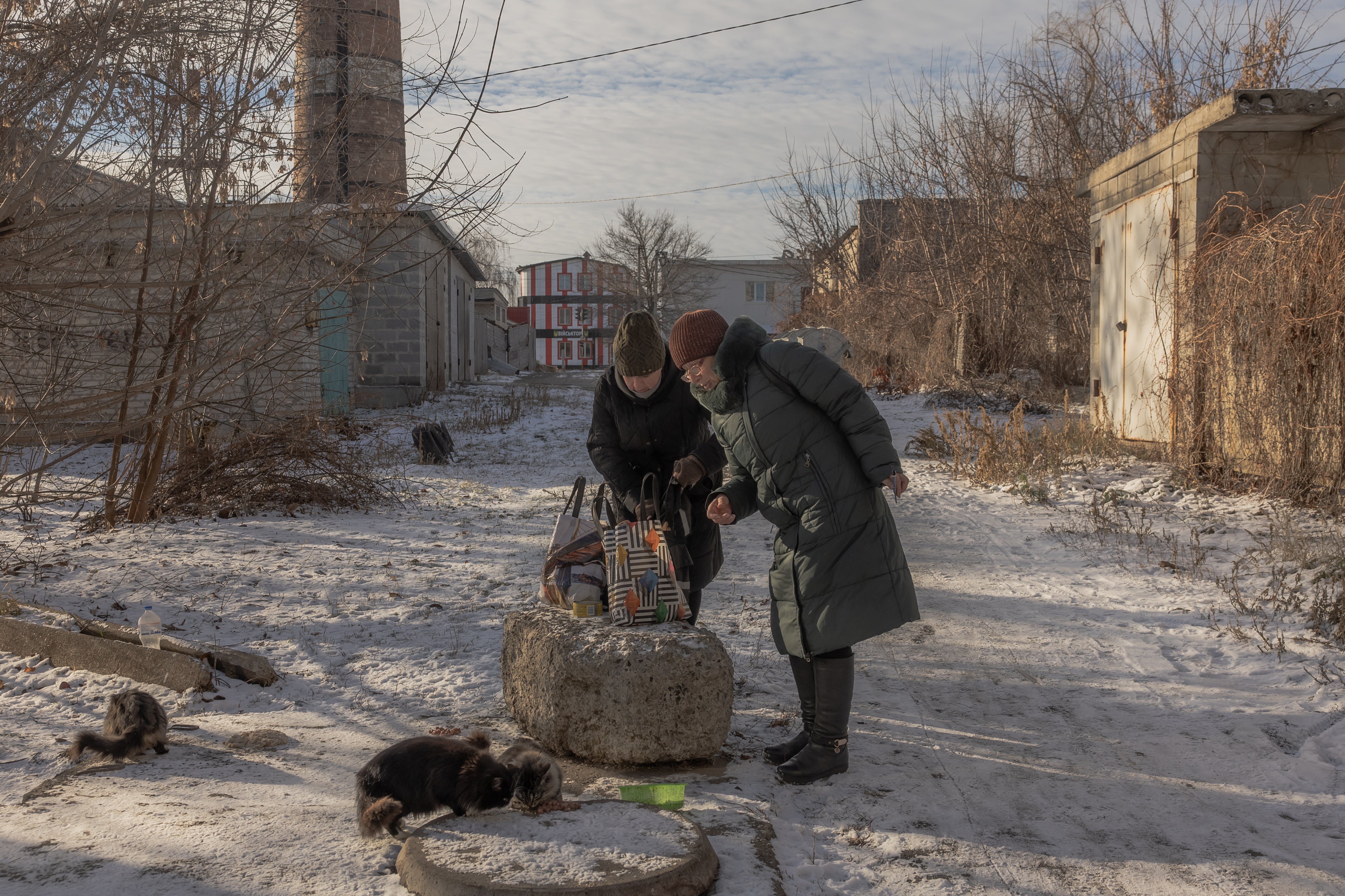 Local residents feed street cats in the city of Pokrovsk, eastern Donetsk region, on 14 December 2024, amid the Russian invasion of Ukraine