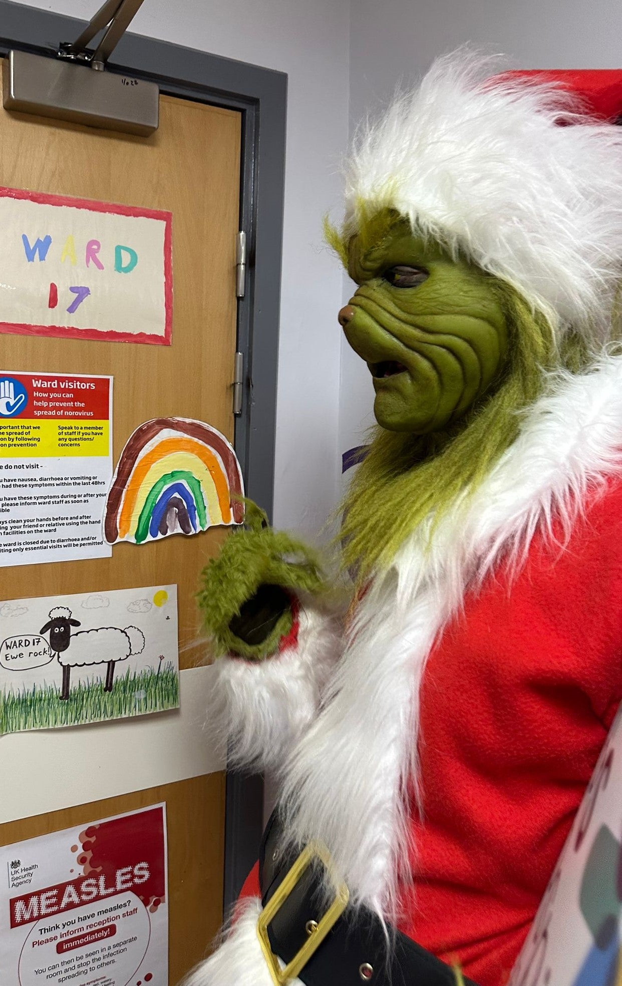 Ryan has been visiting hospitals as the Grinch this year (Collect/PA Real Life)