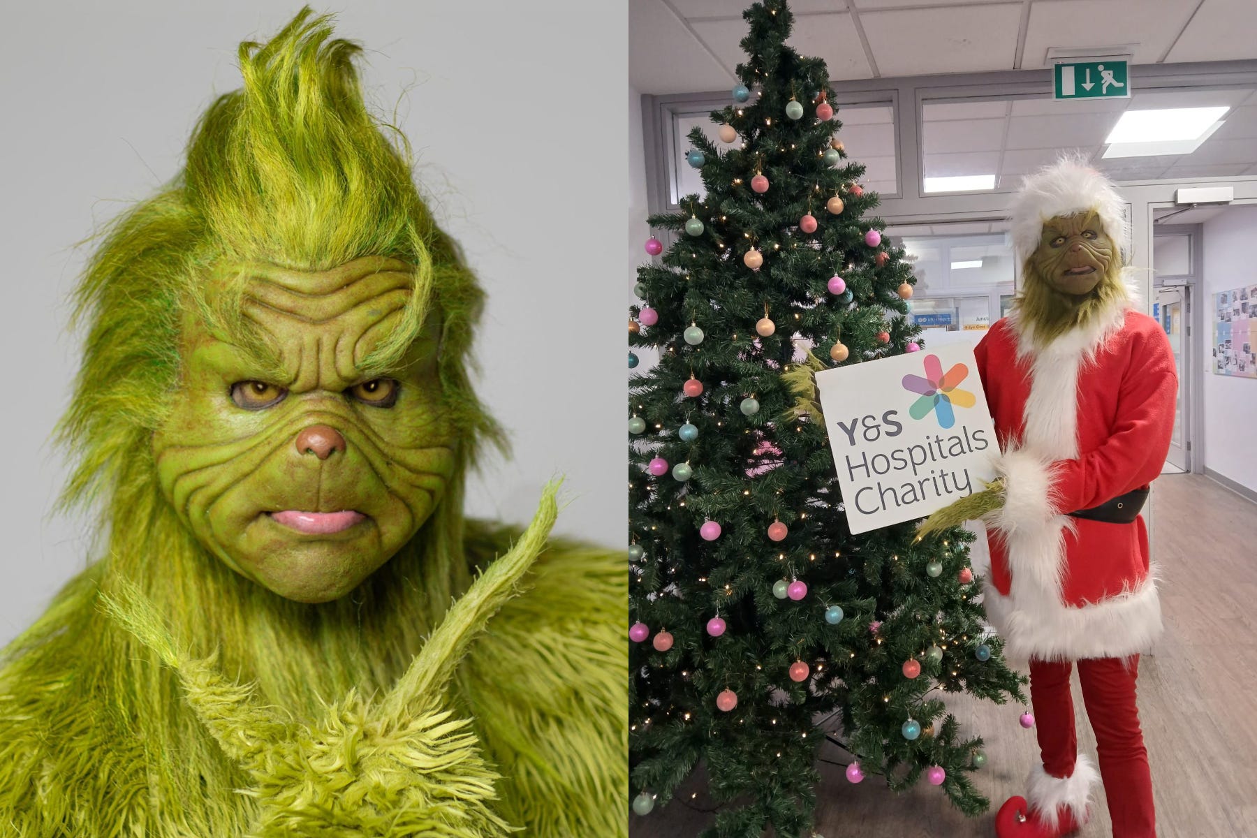 Ryan spends more than an hour getting into character as the Grinch (Andrew Ball Fp Photography/PA Real Life)