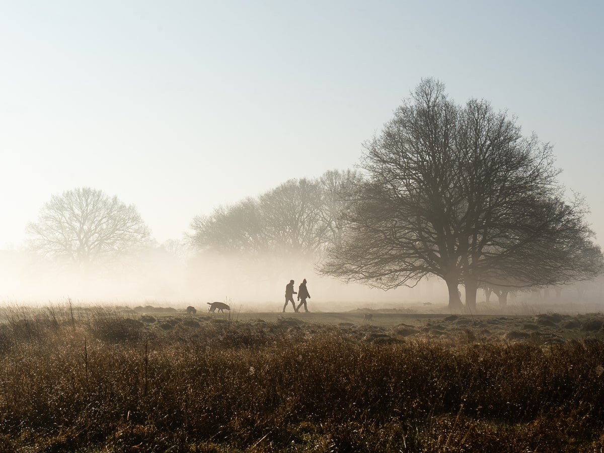 Scientists reveal what time of the day people are at their peak