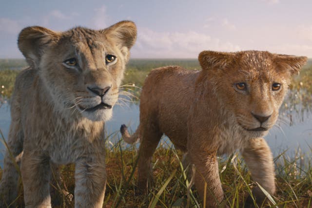 <p>Dreary and formless: Barry Jenkins’s ‘Mufasa: The Lion King’ </p>