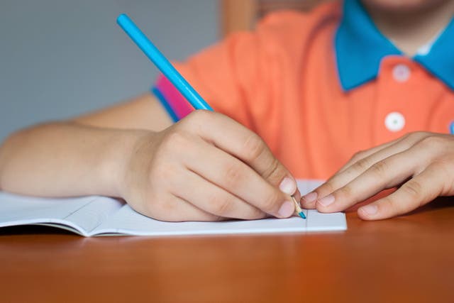 The Children’s Wellbeing and Schools Bill is being introduced to Parliament on Tuesday (Alamy/PA)