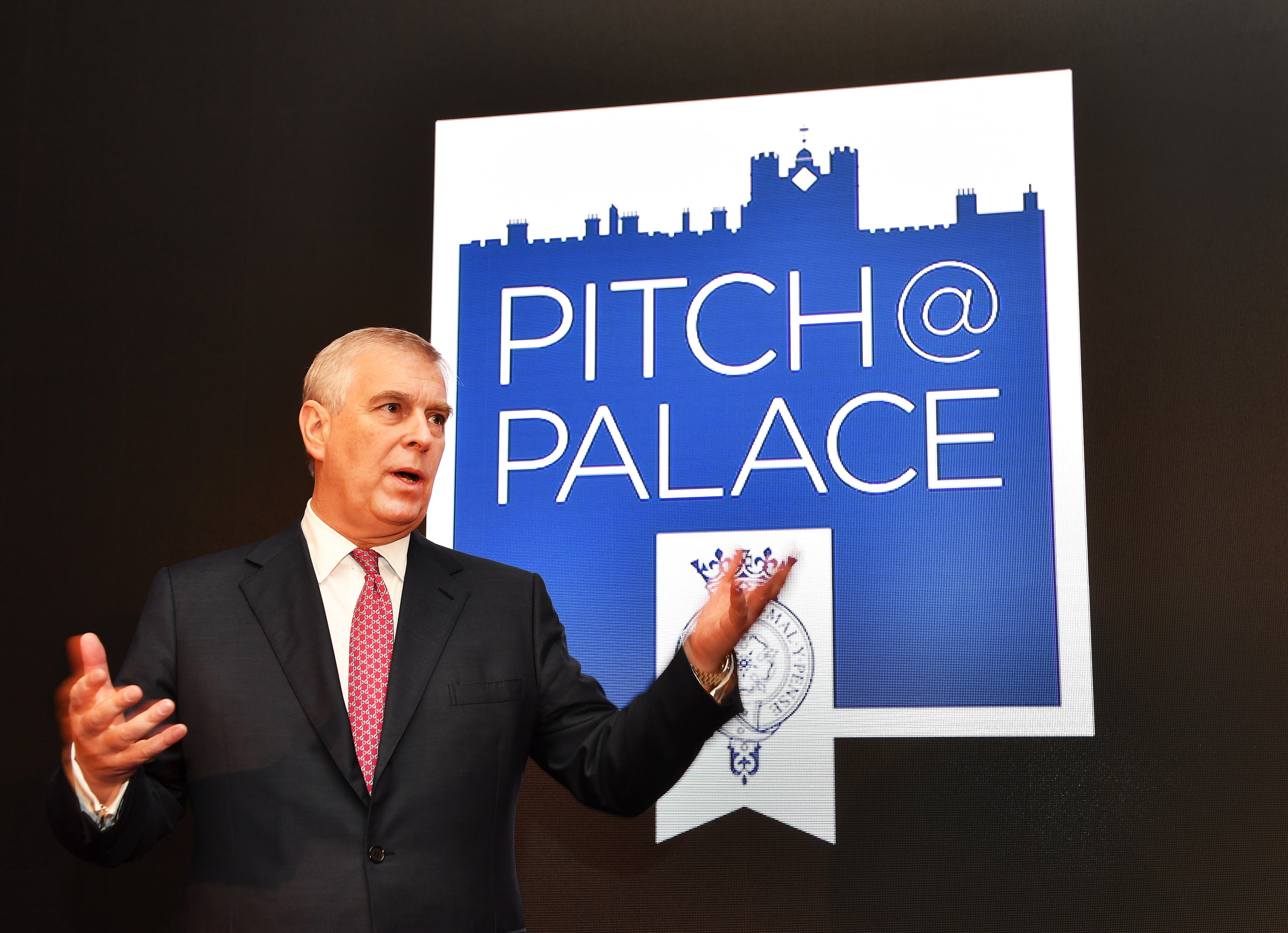 Pitch@Palace was a Dragons' Den-type mentoring network set up by Andrew designed to connect start-up firms, often in the technology sector, with potential investors