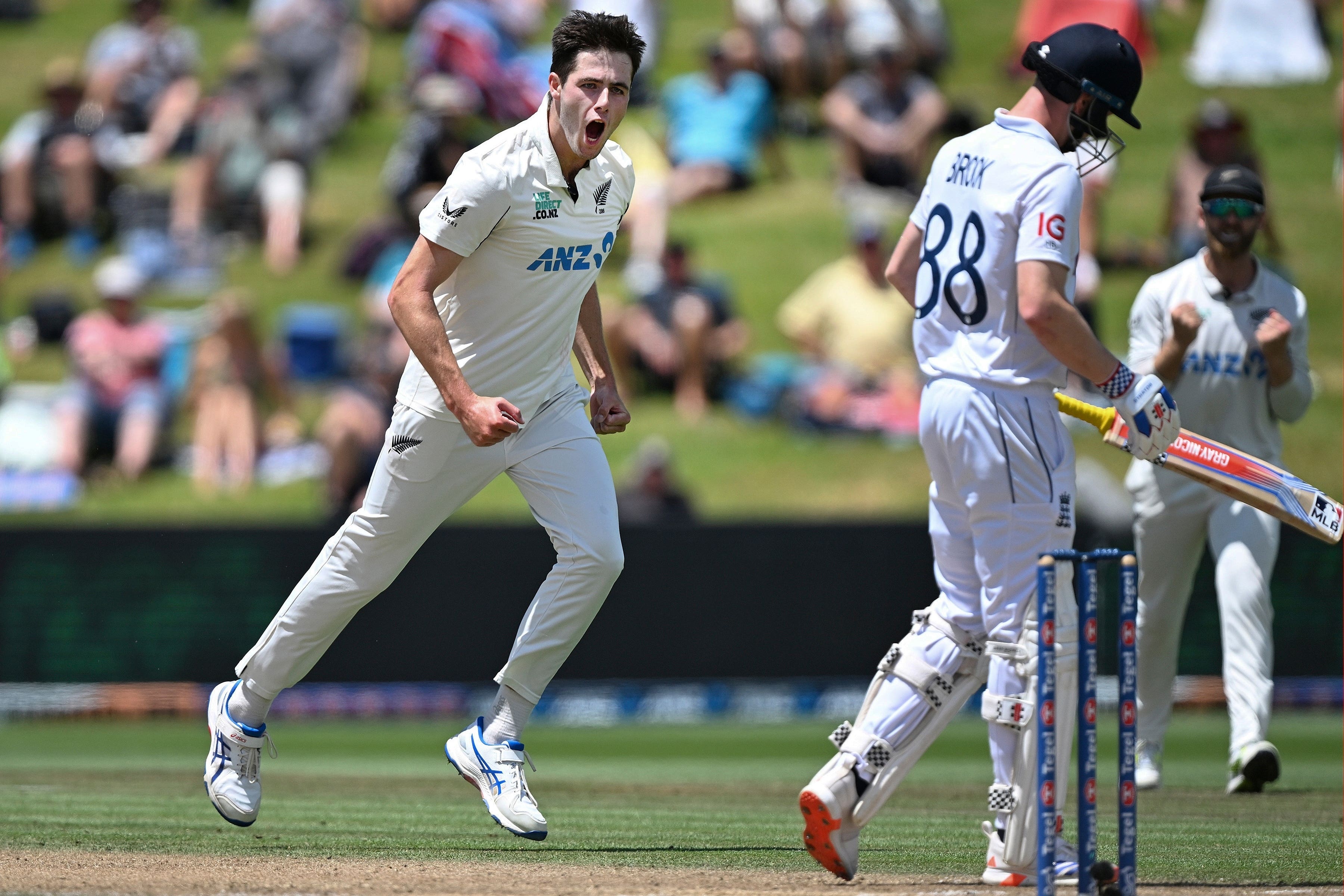 New Zealand bowler Will O’Rourke celebrates the dismissal of England’s Harry Brook (Andrew Cornaga/Photosport/AP)