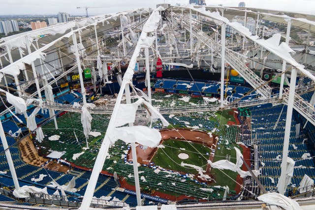 Rays Ballpark Baseball