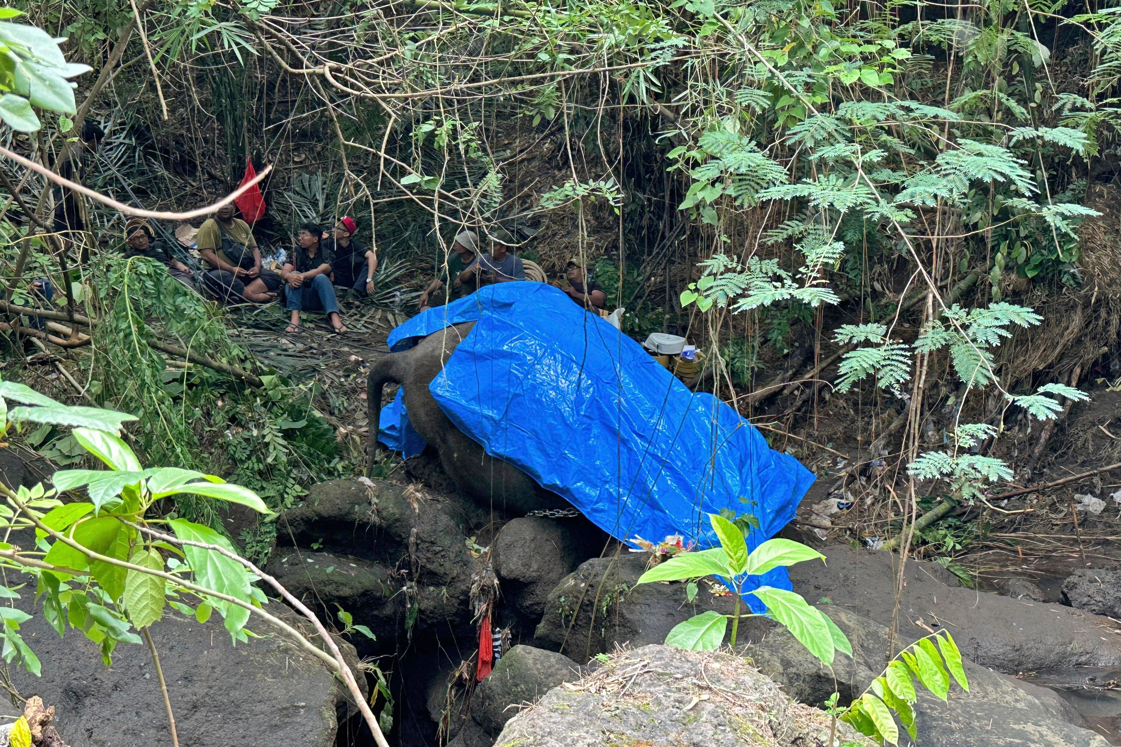 An elephant in zoo on Indonesia’s tourist island of Bali was found dead