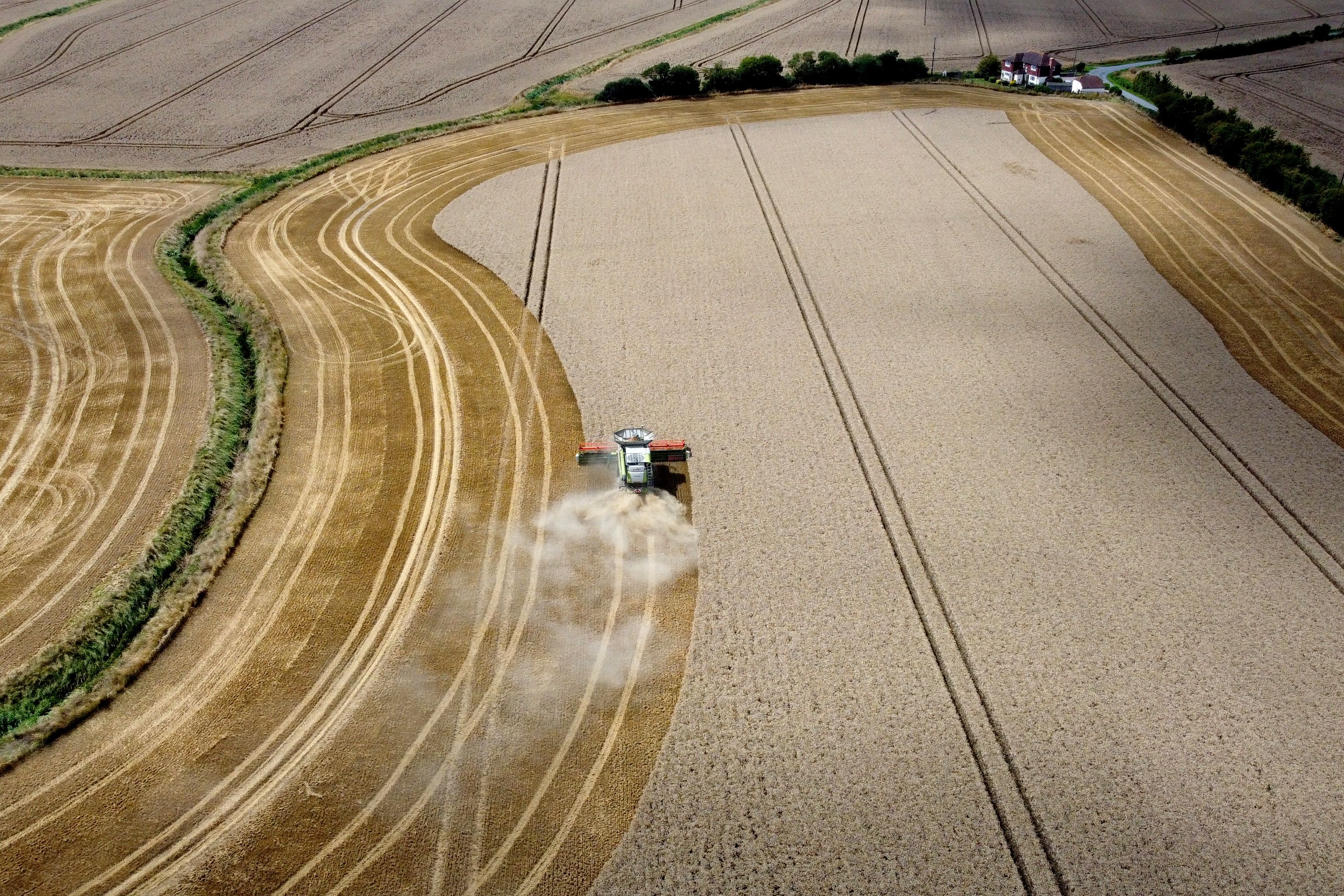 Biodiversity loss, water and food insecurity, health risks and climate change amplify each other and accelerate their devastating global impacts (Gareth Fuller/PA)