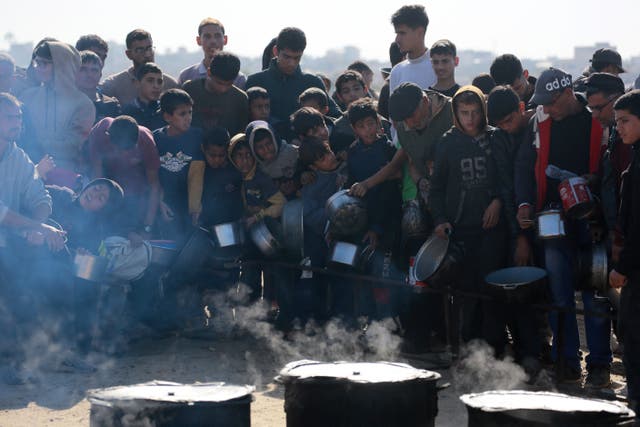 <p>The war in Gaza has caused mass starvation in the small strip of land. Pictured, Palestinians stand in wait for a food portion at a distribution centre </p>