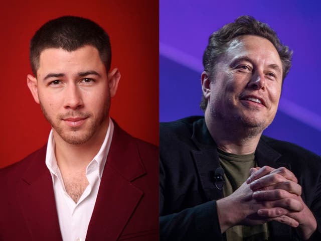 <p>Nick Jonas and Elon Musk </p>