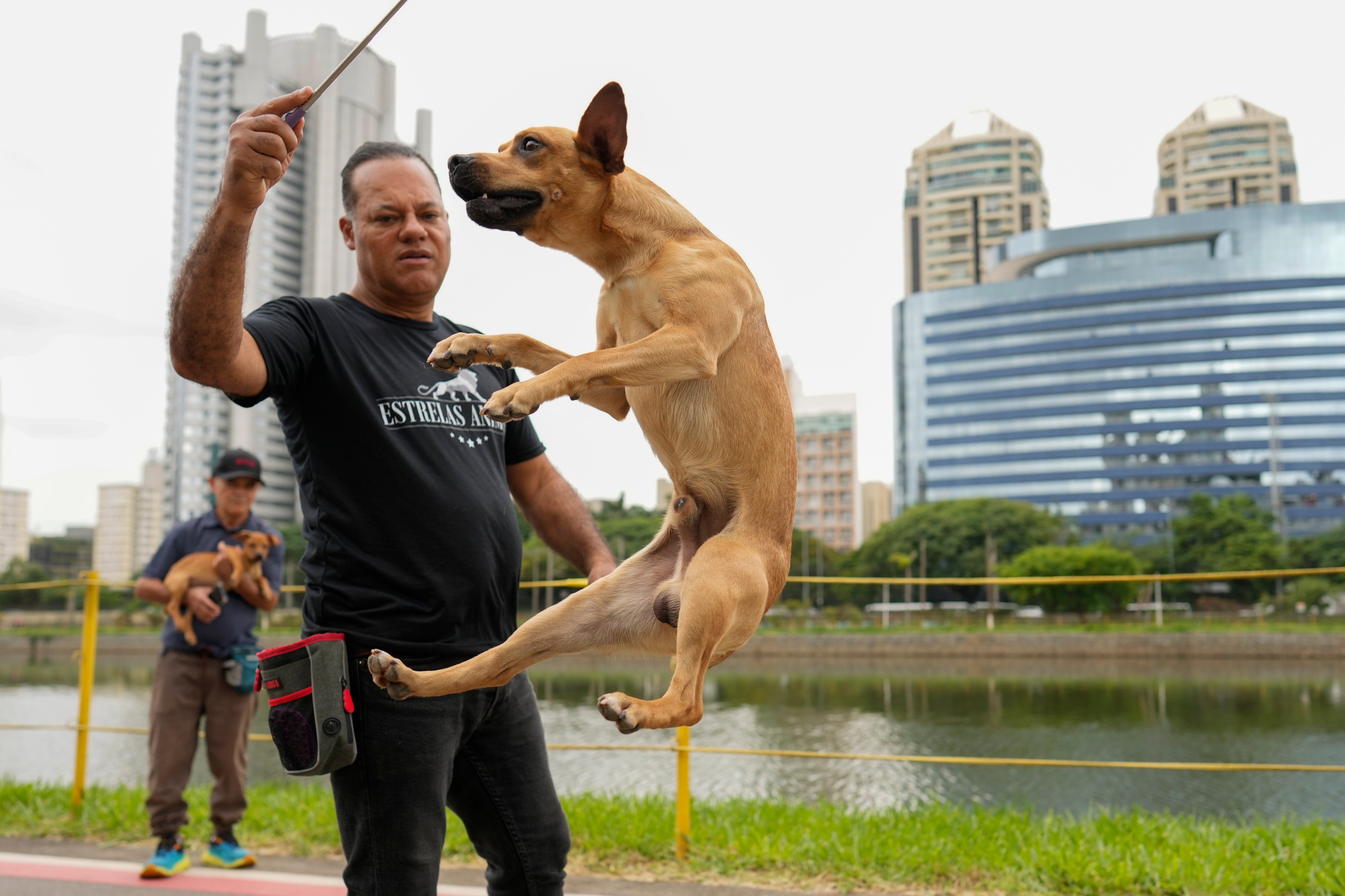 Dog trainer Luis Estrela plays with a caramelo dog on the set of Netflix film Caramelo