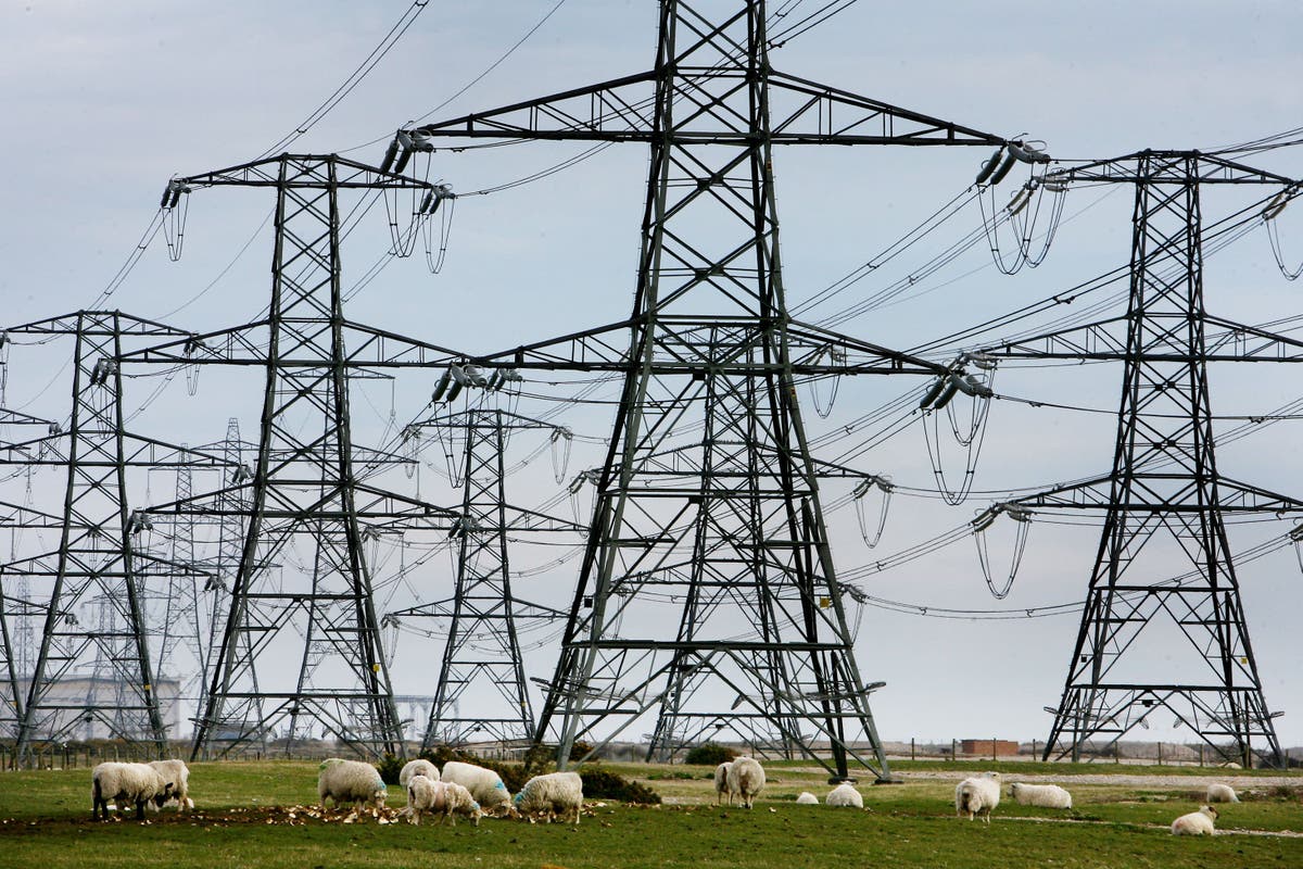 National Grid outlines ‘unprecedented’ £35bn investment plans in green energy boost