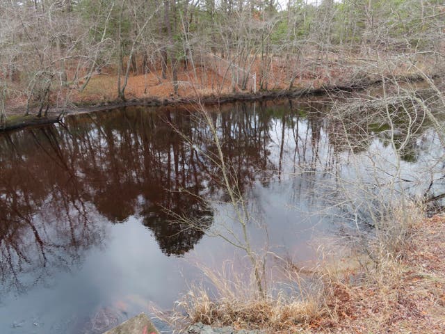 Toxic Waste Settlement