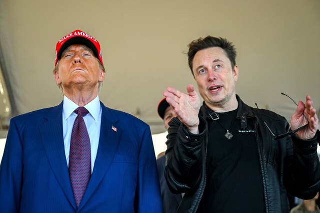 <p>President-elect Donald Trump has forged a power alliance  with richest-man-in-the-world Elon Musk </p>