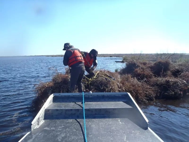 Bayou Sauvage National Wildlife Refuge staff retrieve harnesses from the bundles of trees that are dropped. The refuge is the second largest urban wildlife refuge in the country