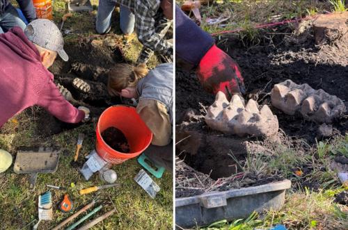 As pessoas estão trabalhando para escavar a mandíbula do mastodonte. A descoberta é a primeira do tipo no estado em 11 anos