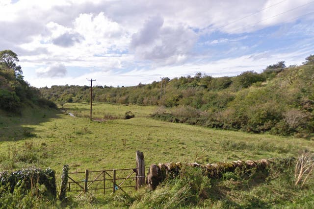 <p>Brock Wood in Dunbar</p>