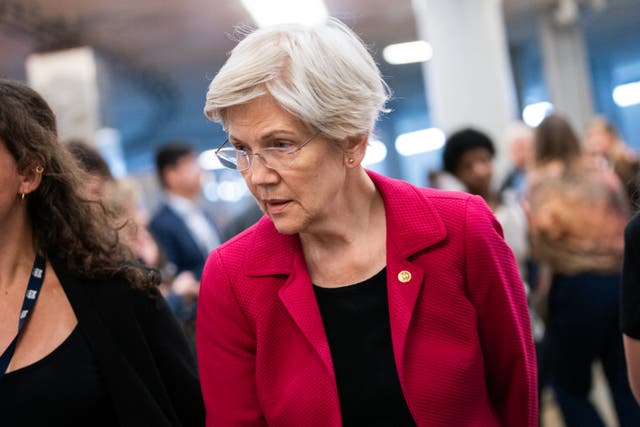 <p>US Senator Elizabeth Warren, Democrat from Massachusetts, speaks to reporters on her way to a vote at the US Capitol in Washington, DC, on November 14, 2024</p>