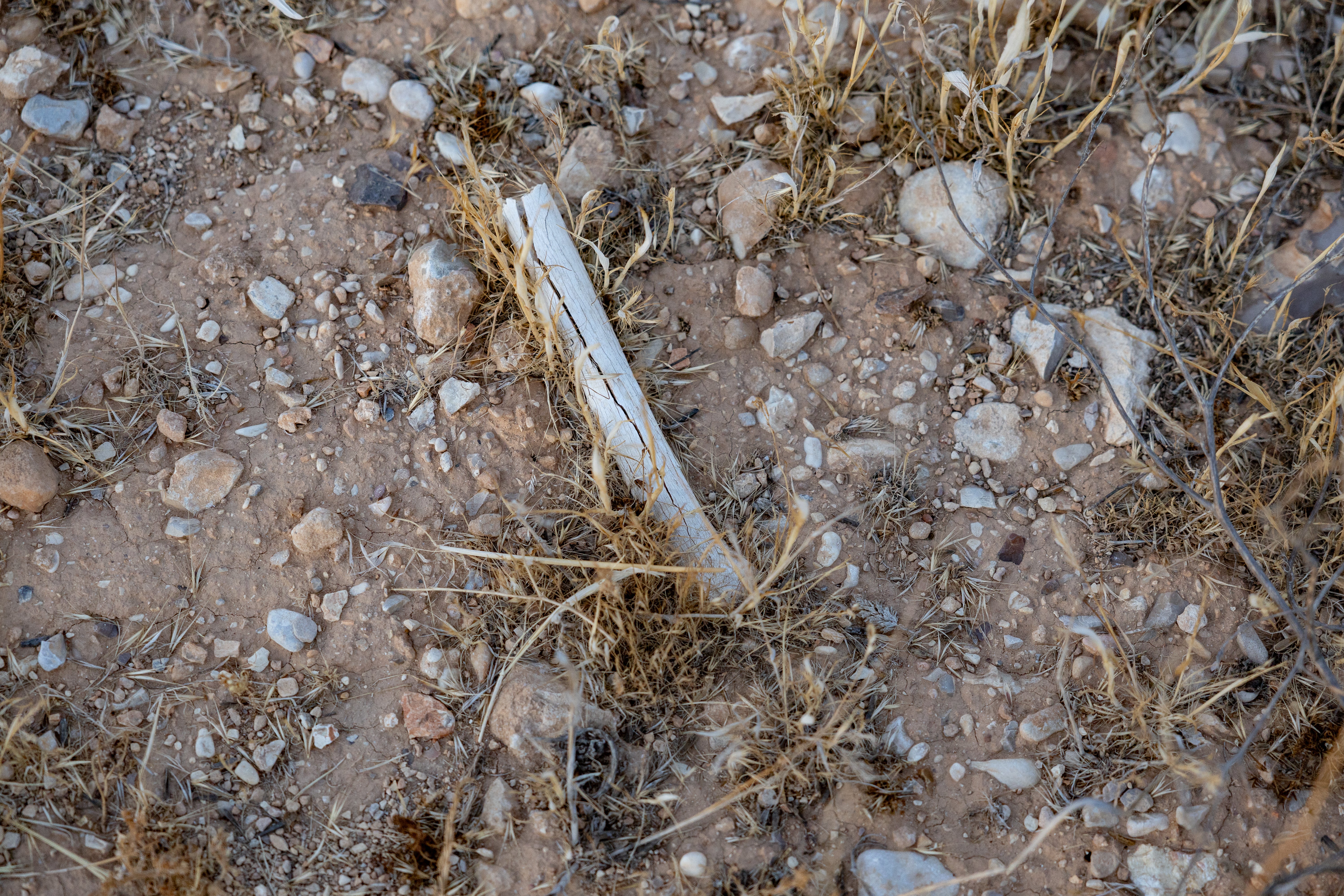 What looks like a bone on the ground at Al-Qutayfah mass grave site