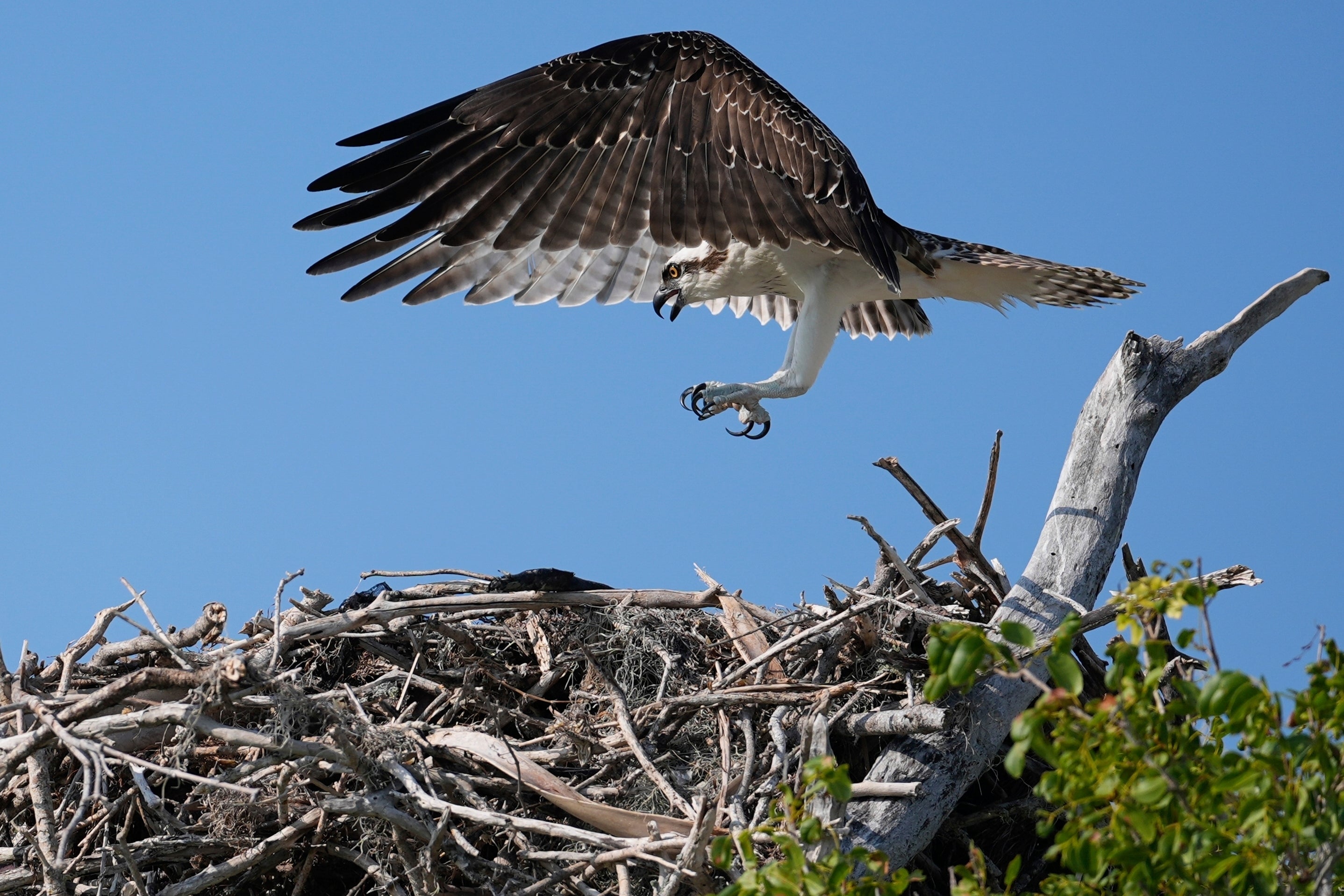Climate Everglades Miccosukee Takeaways
