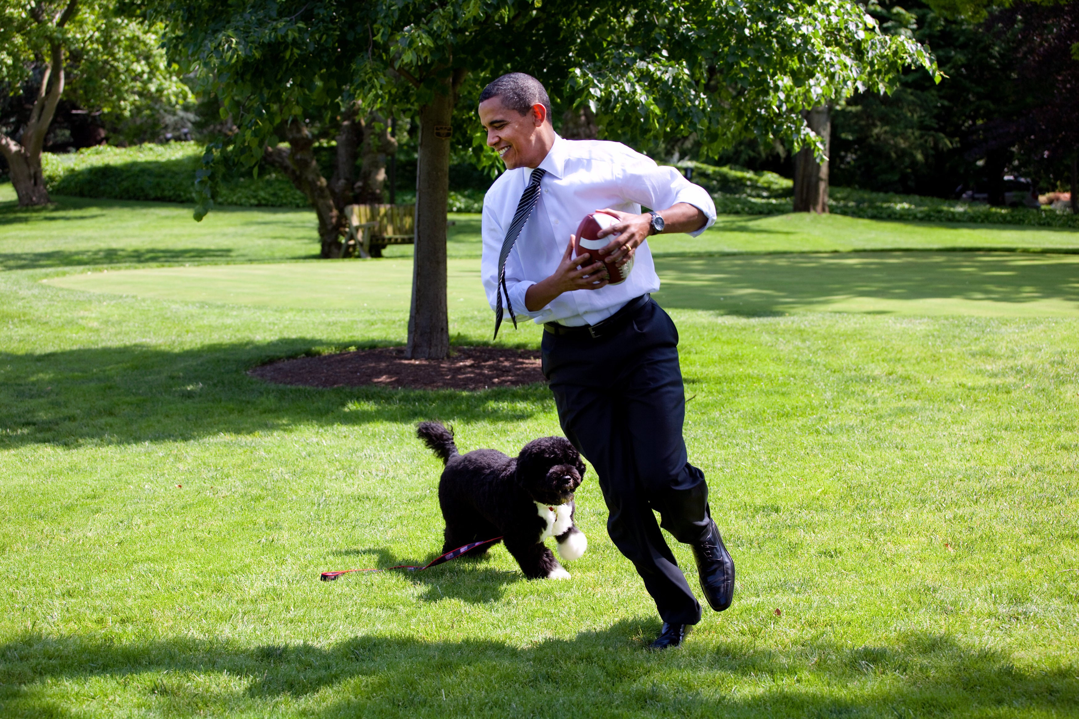 Vários presidentes recentes, incluindo Obama, tiveram animais de estimação na Casa Branca