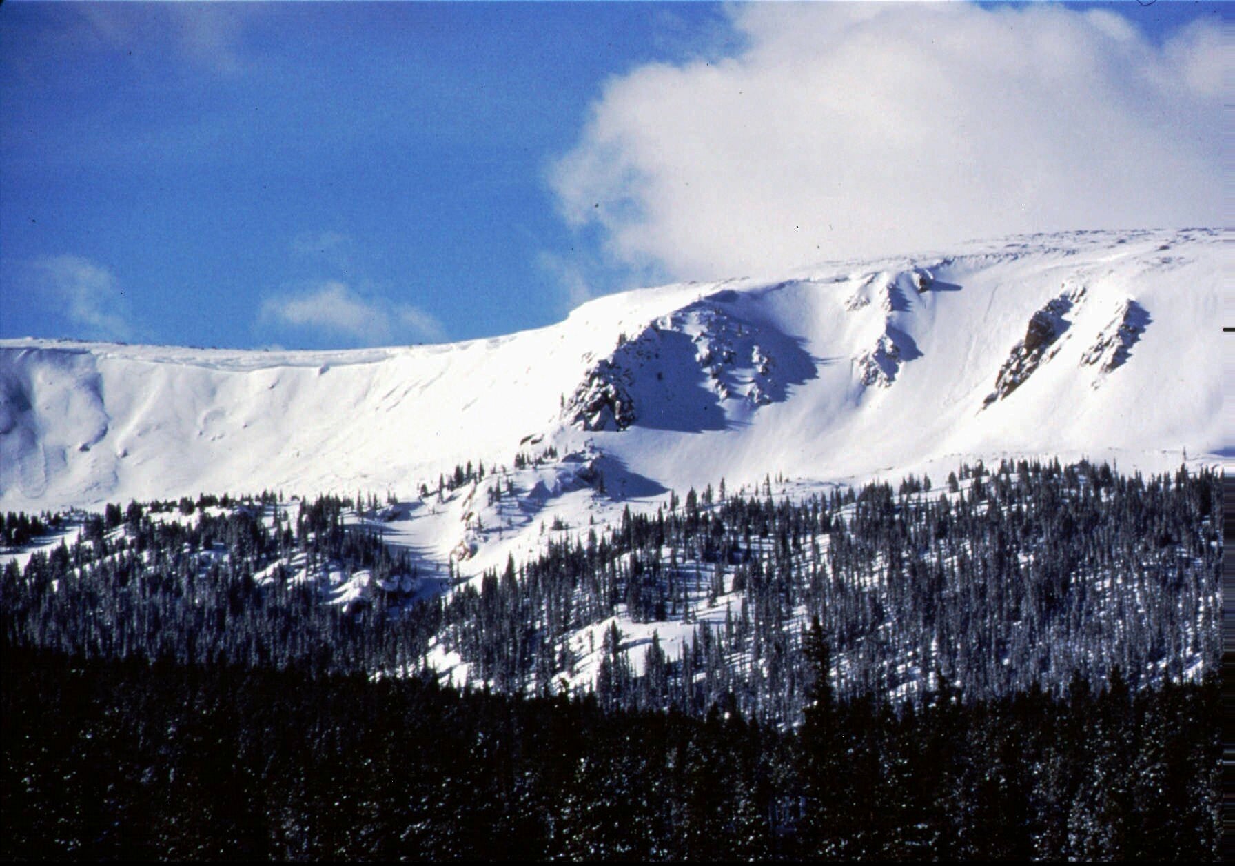 US Ski Left Rescue